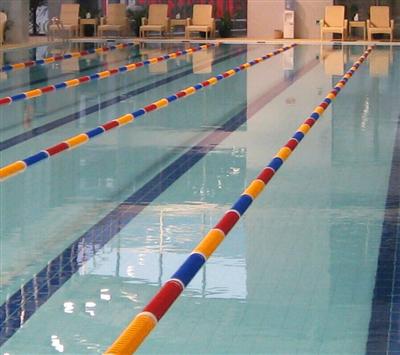 泳道線產品